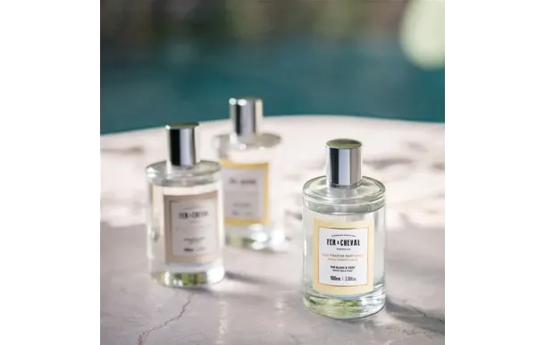 FER A CHEVAL EAU FRA 25271